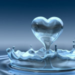 Heart water